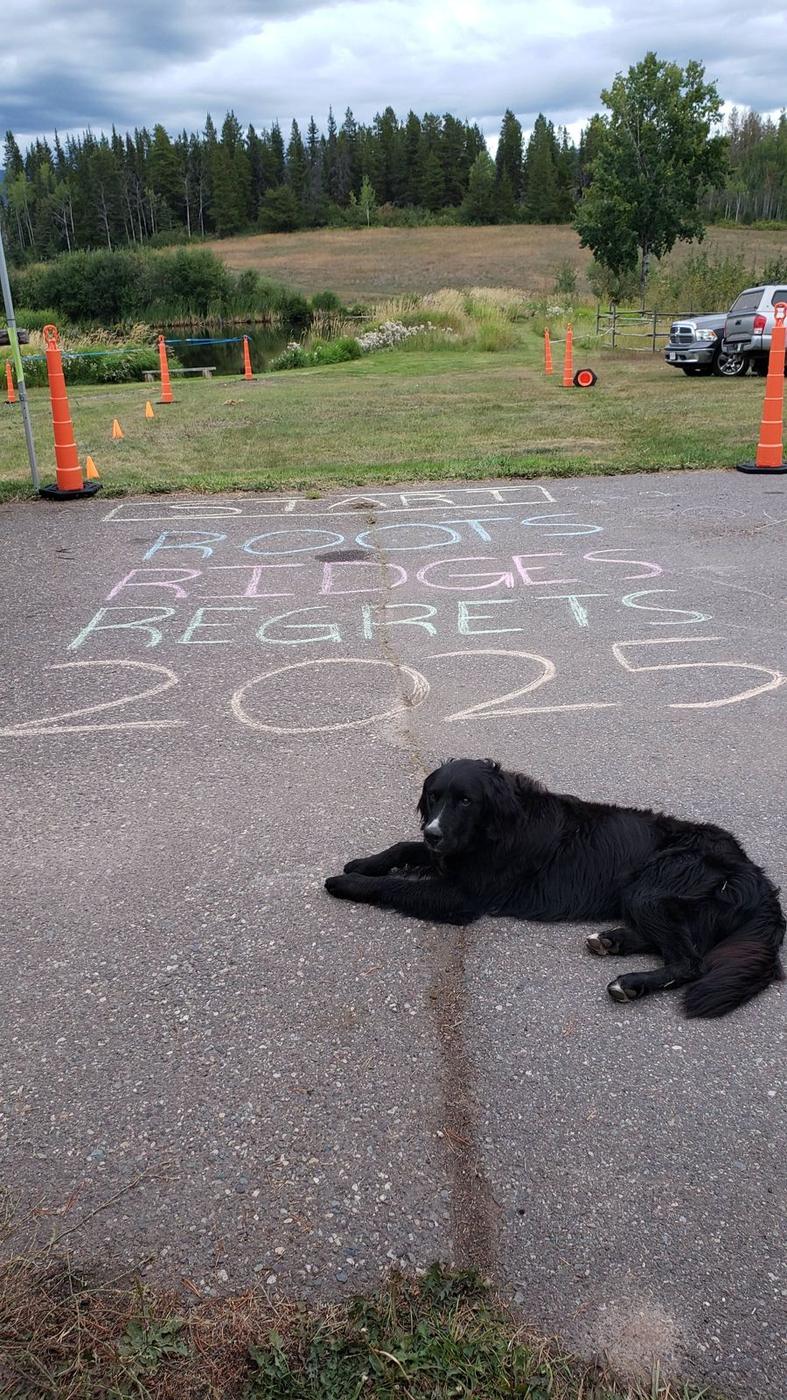 Race start line with dog