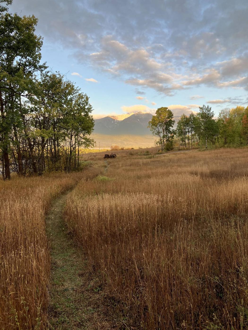 Trail through autumn meadow