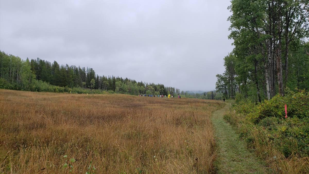 Runners spread across course